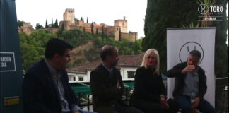 Villas taurina de Granada: Toros tradición y trashumancia