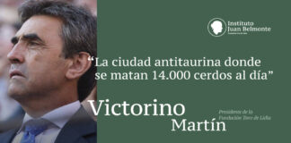 La ciudad antitaurina donde se matan 14.000 cerdos al día
