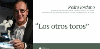 Los otros toros